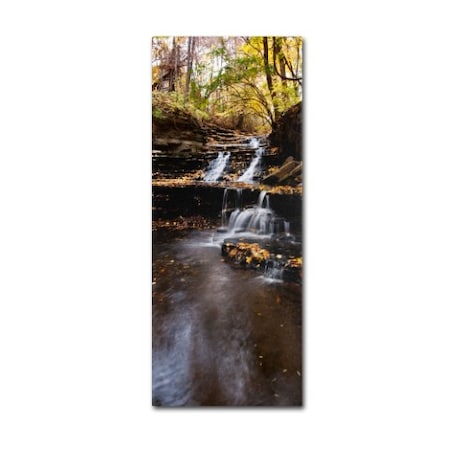 Kurt Shaffer 'Autumn Falls' Canvas Art,20x47